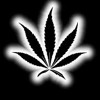 Kc Jones B Reese C Clay Highlife Mp3