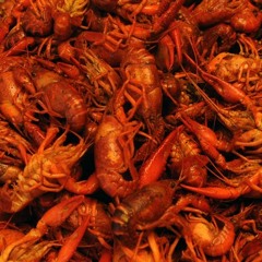 Keith and Marty: Mudbug