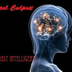 Digital Culprit - 3rd Most Intelligent ** FREE DOWNLOAD ** (SGRF003)