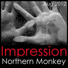 Impression - Northern Monkey