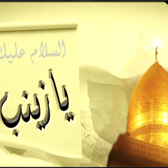 عندما رأيت ضريح السيدة زينب عليها السلام في مثل هذه الأيام