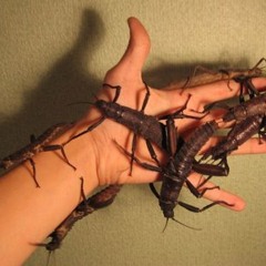 The crawling (demo 2 8-21-12)