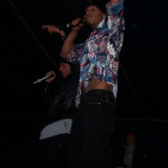 Rapsito.