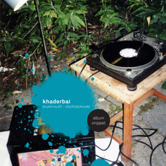 d'schildchrodd - preview