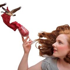 A Wine Goose Chase - 2000 years of Irish wine history with Susan Boyle