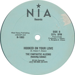 Hooked on your Love - The Fantastic Aleems feat. Leroy Burgess (Chewy Dub)