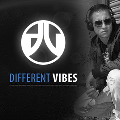 Center Shock feat. DJ Impact (Different Vibes Dubplate) 05.2012