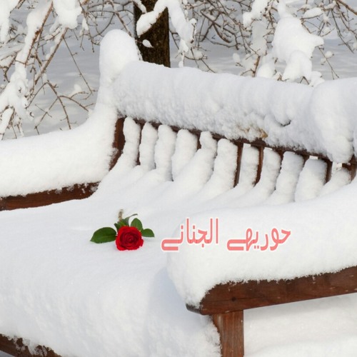جليدُ الرُّوح~