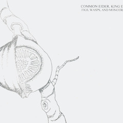 The Last 4 Years Of The Bees