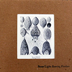 The Owl is the Baker's Daughter