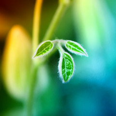 Eiví- Canto del ayer (Reencarnación)