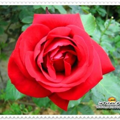 ถามใจตัวเอง เซน The Star