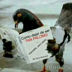 CUERVO LOOMI M-JOTA GUARIBOA LOMINENCE-MAS PALOMO QUE TU NO HAY