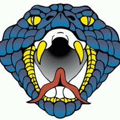 FREE DOWNLOAD!!!!!! "C-O-L-UM-BUS", GA.(The C-Town Anthem) feat. Syke Pachino & Contanek