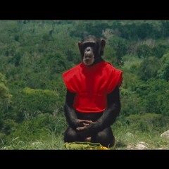 Schumacher & Preuß - Kind Frieden