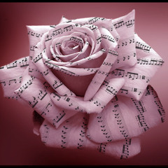 Algo-Roses(Original Mix)([Arkamoria Records] Preview)