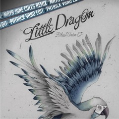 Little Dragon - Ritual Union (Maya Jane Coles Remix) - (PV Edit)
