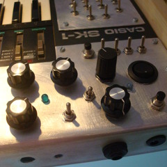 Casio sk-1 White trash