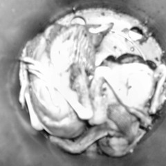 Make ur move - always in my heart