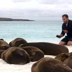 Six4 for Eight Spaces [2012]