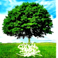 La madrugada (Once Mc)