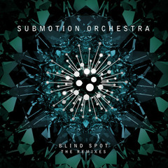 Submotion Orchestra - Blind Spot (Distance Remix)