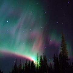 Northern Lights