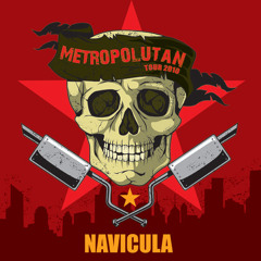Navicula-Metropolutan