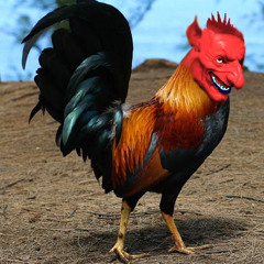 The Dark Sword of DnB