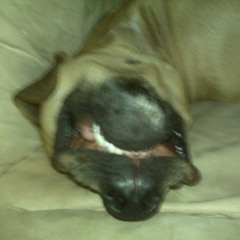 Deet communication breakdown