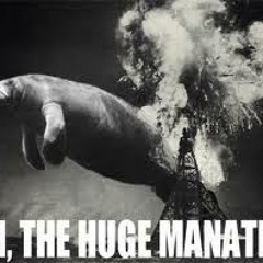 Oh,the huge manatee