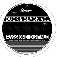 Dusk & Black Vel - Passione Digitale (Fabian Schumann Remix )
