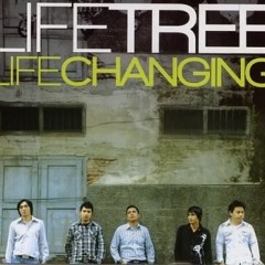 Rohani Life Tree - Tiada Yang Mustahil