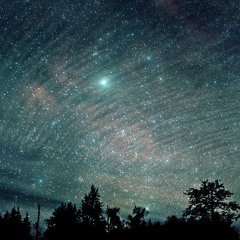 I'll never let you down.