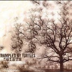 Trampled by Turtles - Duluth