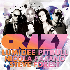 Lumidee Ft Pitbull Vs Nicola Fasano & Steve Forest - Crazy (Preview)