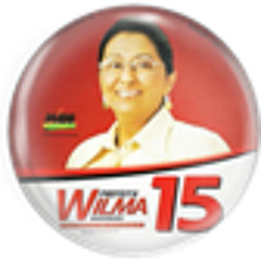 Guia de Wilma15 programa01