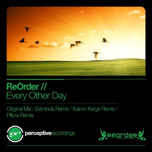 ReOrder - Every Other Day (Pillow Remix)