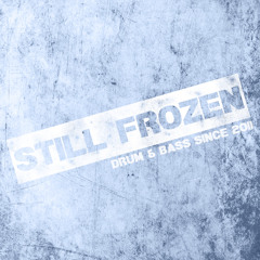 Mortal Kombat Theme (Still Frozen Drum & Bass Remix)
