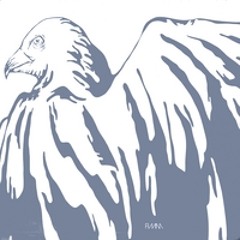 Afraid [White Birds]