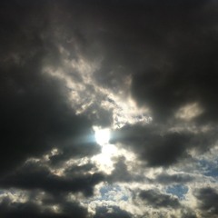 Butterfly Baby Mikey's Song!!! CHENTE LOCO