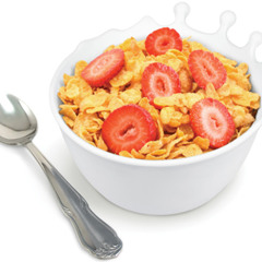 Breakfast is the Most Important Meal of the Day