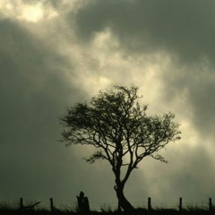 ESTA GRIS FT SISCABEAT'S