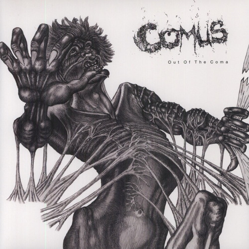 Comus 'Out Of The Coma' (Rise Above Records & Coptic Cat) (2008 onwards)