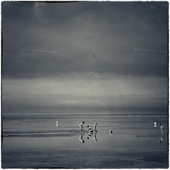 مرّات و لحال شتا- النوارة العاشقة