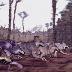 Yani Beats - Wolfpack Attack