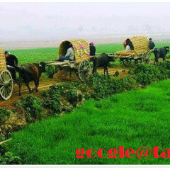 Akashe batase-[Moner Maje tajul7star