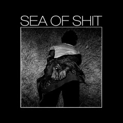Sea of Shit - Null