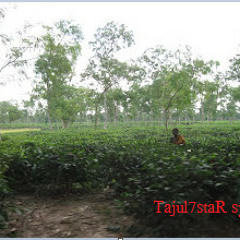 Amar ki sokhe Jai tajul7star