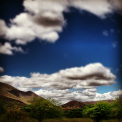 La Cieneguita - Los Faraones